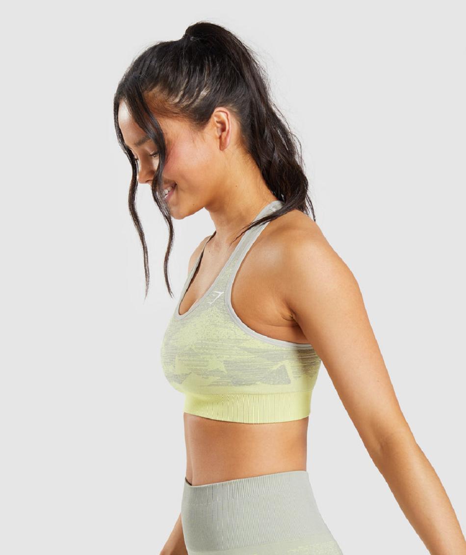 Gymshark Adapt Ombre Seamless Ženske Sportski Grudnjak Sive Smeđe Sive | HR 3337GSO